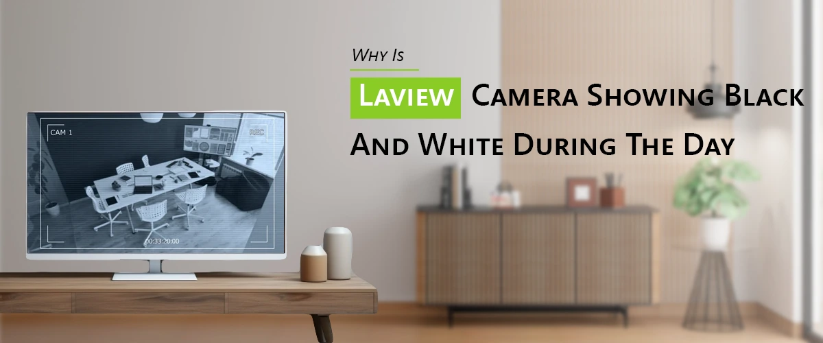 Why Is Laview Camera Showing Black And White During The Day?